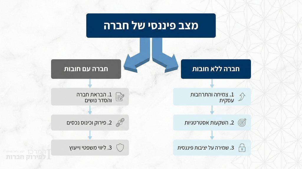 השוואה בין סוגי פירוק חברות והגנה משפטית