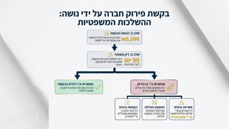 אינפוגרפיקה בעברית המסבירה הליך והשלכות משפטיות של בקשת פירוק חברה על ידי נושה
