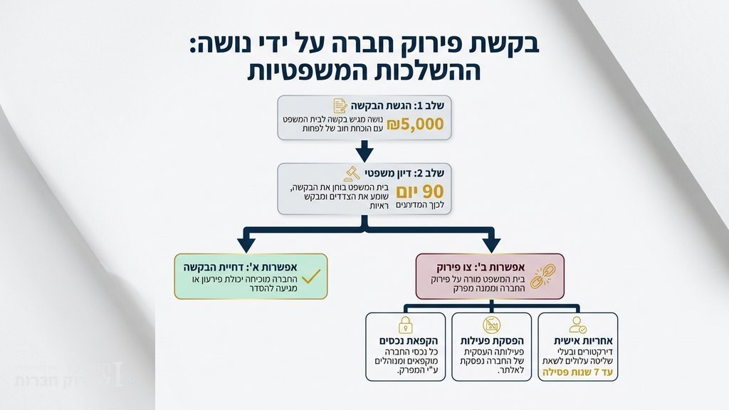 מסמכים משפטיים להגשת בקשת פירוק חברה