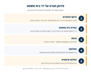 אינפוגרפיקה: הגשת בקשה לצו לפתיחת הליכים של חדלות פירעון של חברה – איסוף מסמכים, בחירת בית המשפט, הגשה, השלמות והחלטה שיפוטית